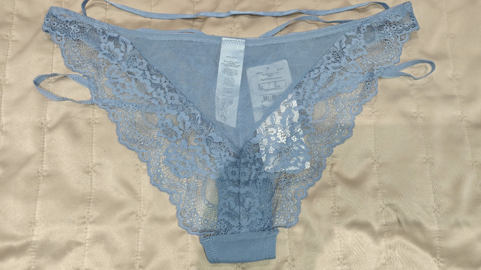 BNWT-HUNKEMOLLER Sheer Lace & Mesh Brazilian Brief – UK 12 – Blue