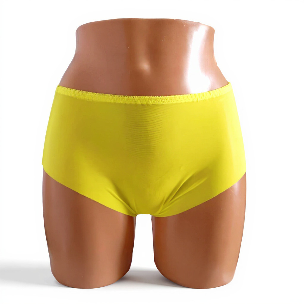 Vintage Style Sheer Transparent Nylon Panties Retro – Various colours