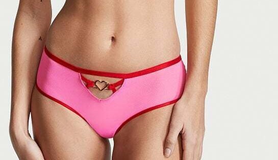 Victorias Secret Pink Mesh Red Trim Cheeky Panties Sheer Metal Heart S-M-XL NWT