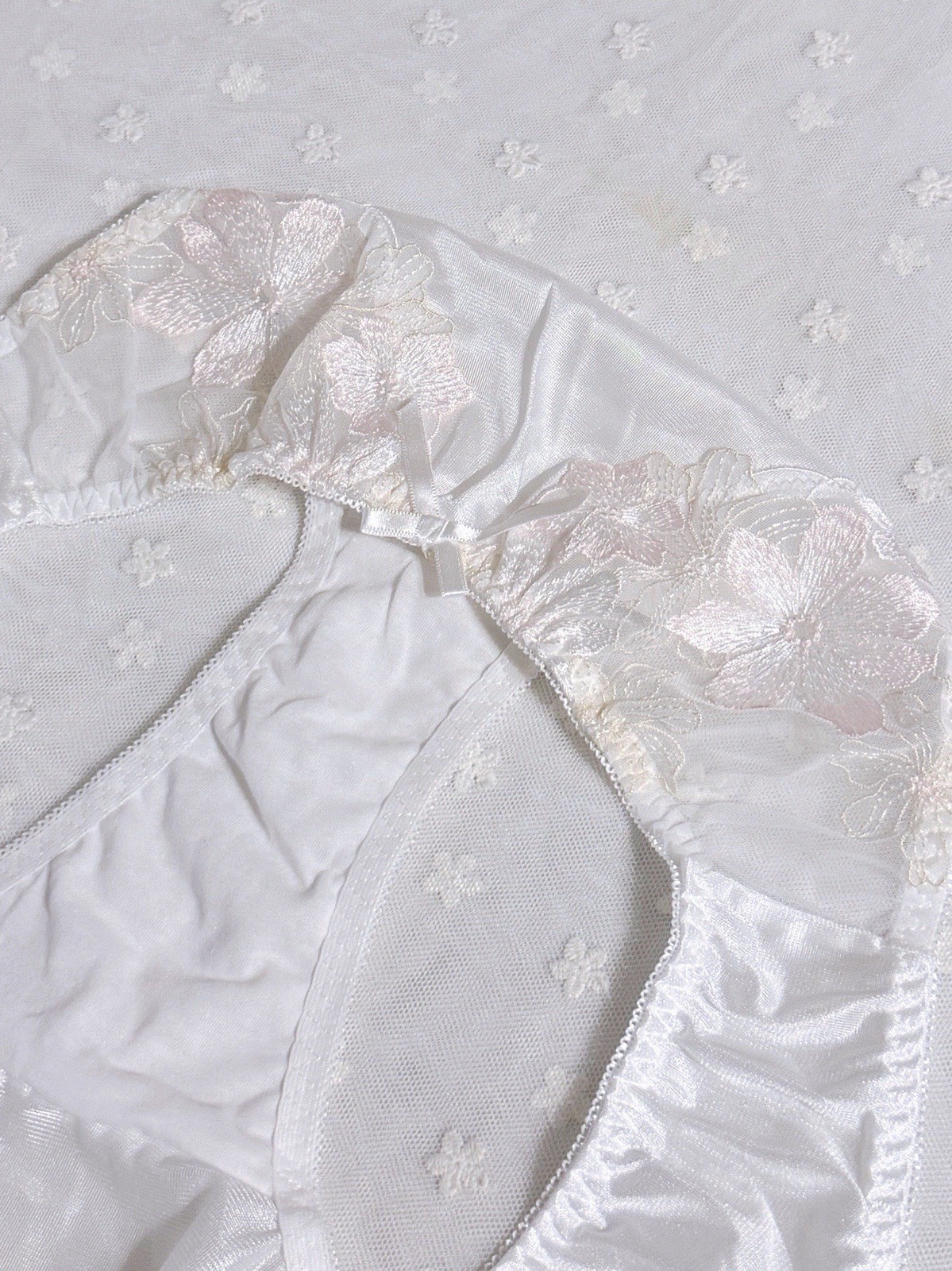 Plus US-XXL/JP-5L Japanese Classic Embroidery Glossy Smooth Tricot Nylon Panties