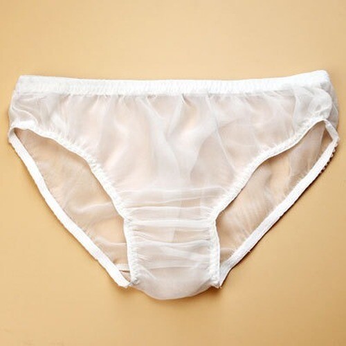 2 P 100% Silk Briefs Hipster Bikini Panties See Through Transparent Knickers