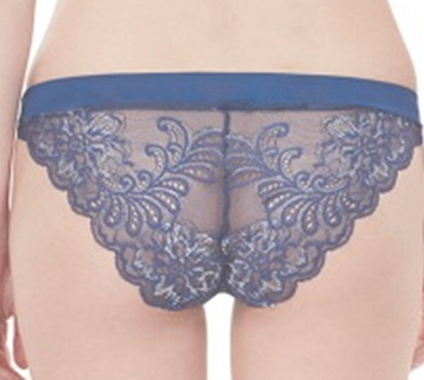 NWT Le Mystere size US 6 Sophia lace Bikini Panty Eclipse blue gray