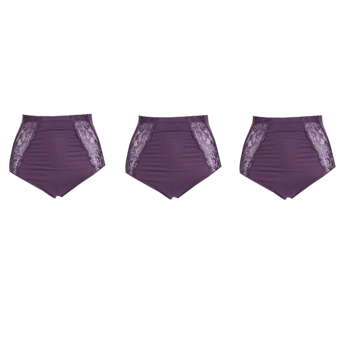 Rhonda Shear Seamless Lace Brief 3-pack 605377-J