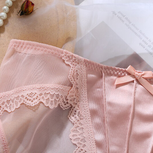 5 Pack Lot Sexy Ladies Womens Satin Panties Intimates Sheer Full Brief Underwear