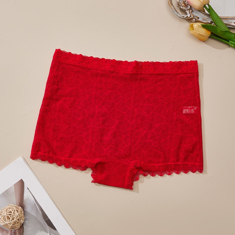 5 Pack Lot Sexy Womens See Through Lace Panties Boyshorts Underwear Lingeries