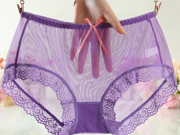 RETRO CHIC Sexy Sheer Underwear Briefs PEEK A BOO Transparent Lace Panties XL