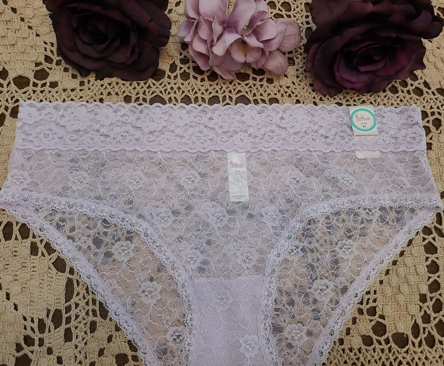 8/XL FLIRTITUDE SeXy See Thru Peek a Boo ChEEky Lace Panties ~ NWT