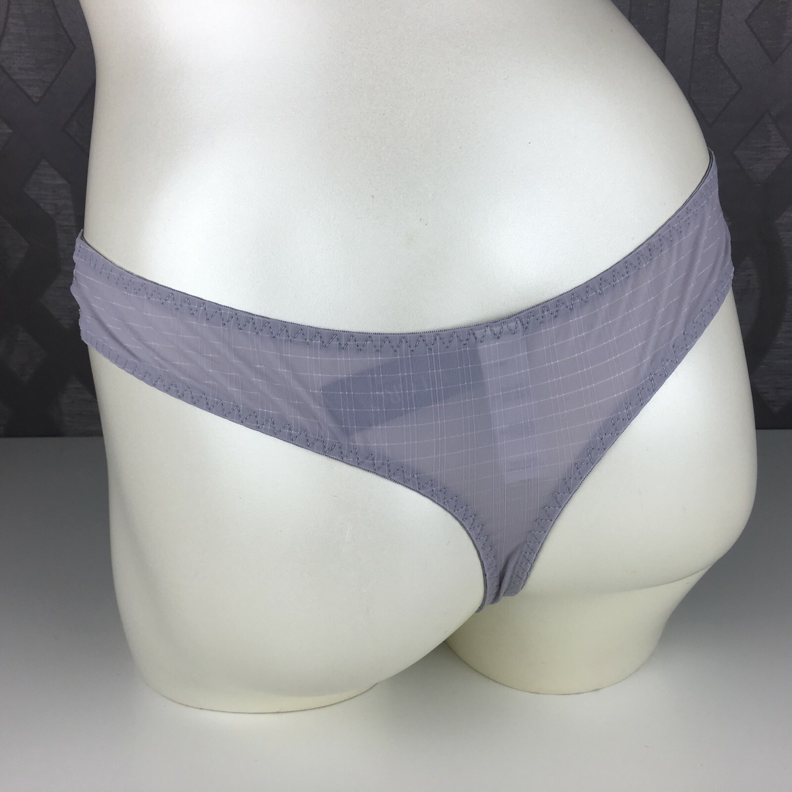 ALEGRO Soft Grey Embroidered Sheer Thong Panty Lingerie with Lace Trim – 9017D