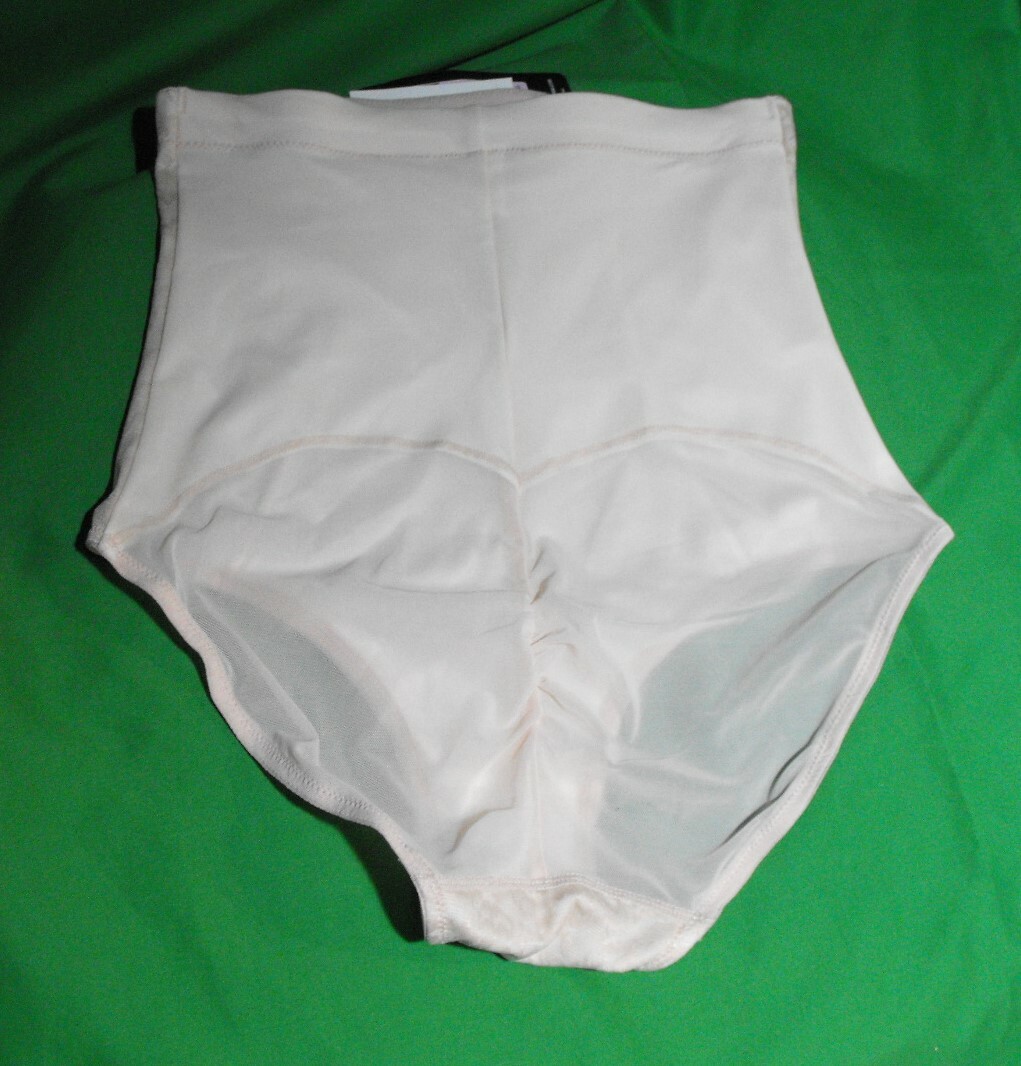 NEW MAIDENFORM DM2005 OOH LA LACY Y4T LACE/MESH HI WAIST BRIEF PANTIES L