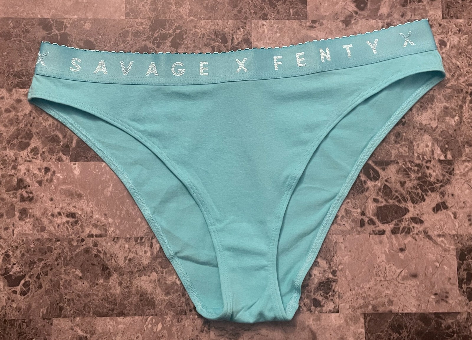 NWT SAVAGE FENTY XL AQUA THICK LOGO WAISTBAND HIGH LEG HIGH WAIST BIKINI PANTIES