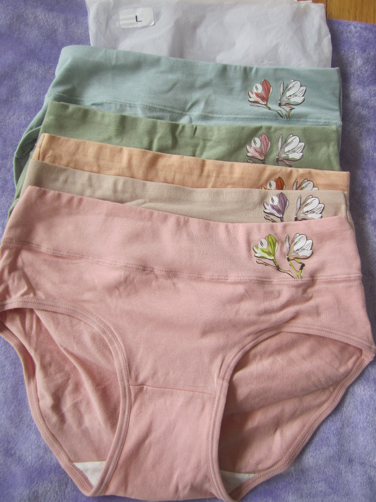 Lot 5 Pack Women Mid-Waist Underwear Panties Briefs Full Cover Butter Soft M / L