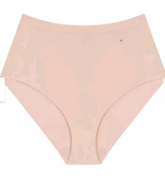 Triumph Smart Micro Maxi EX Underwear Briefs BNWT UK X 2 Size 2 UK 16-22 RRP £30