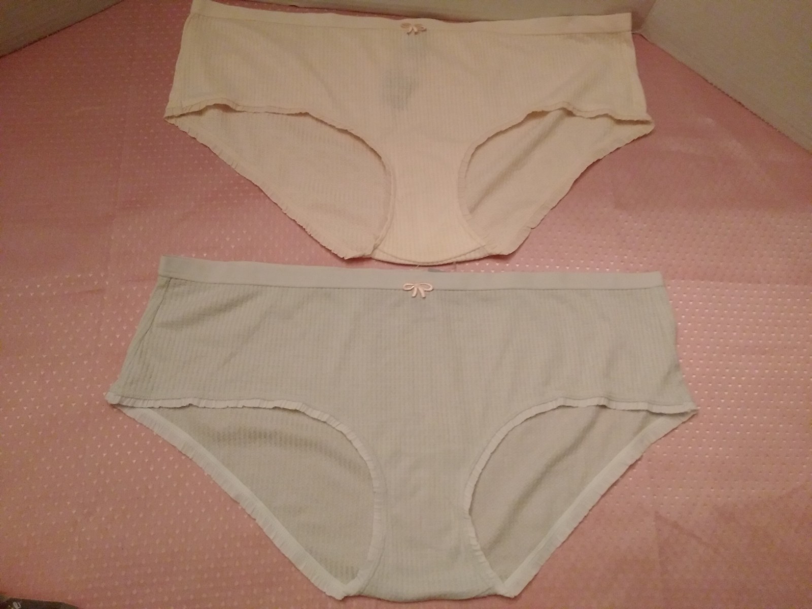 Panties 2 pair NWT Aerie Size XL Boy Brief Ribbed Pink Gray