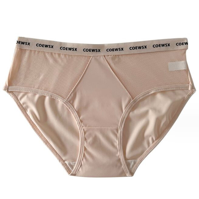1/6 Pack Lot Womens Seamless Silky Panties Brief Sheer Nylon Underwear Lingeries