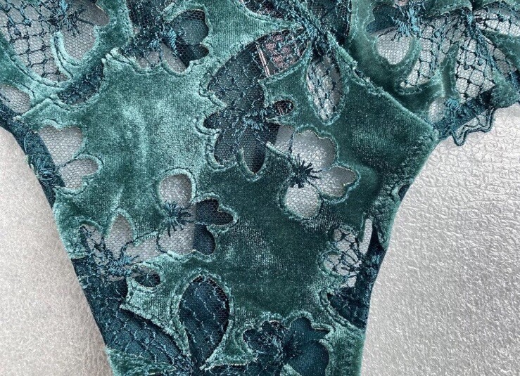 Victoria’s Secret Ziggy Glam Green Velvet Embroidered Lace Mesh Thong Panty NWT