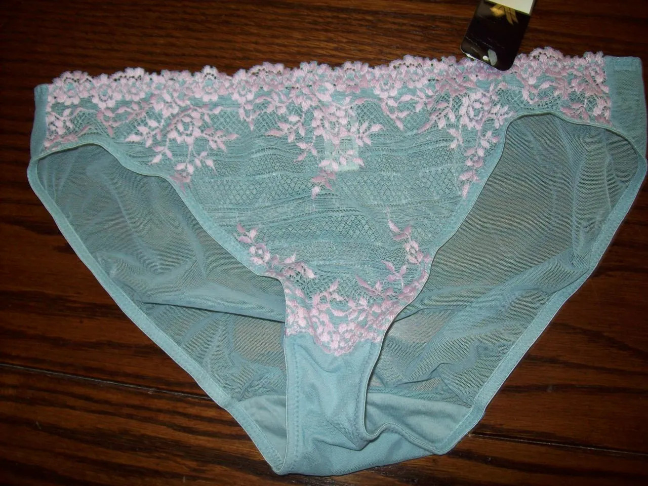 NWT WACOAL BIKINI PANTIES EMBRACE LACE SHEER W EMBROIDERY 64391 BLUE 460 RARE L