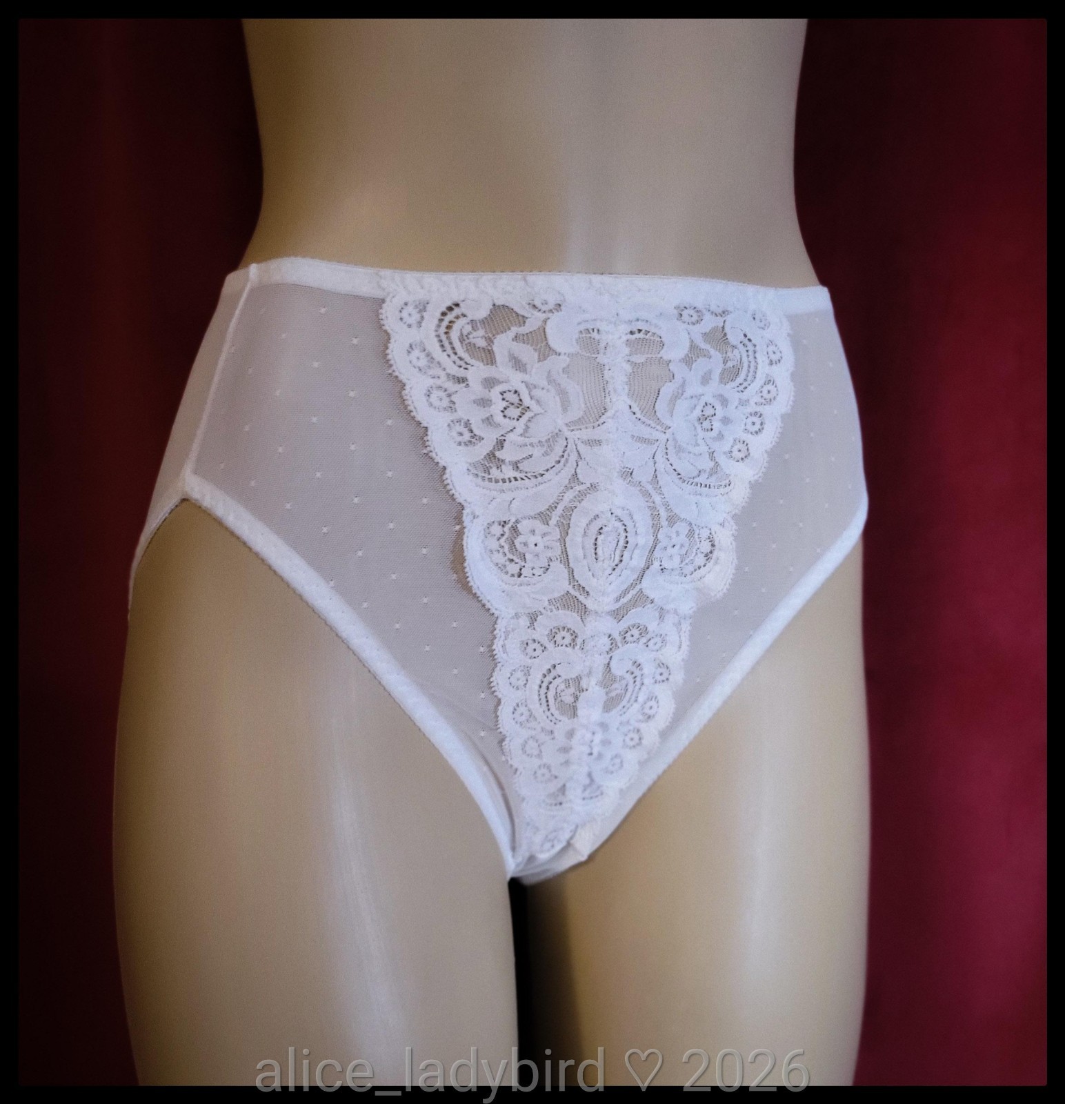 Vintage VICTORIA’S SECRET Sheer PANTIES Hi-Cut Brief Floral LACE Polka-dot ~M/L