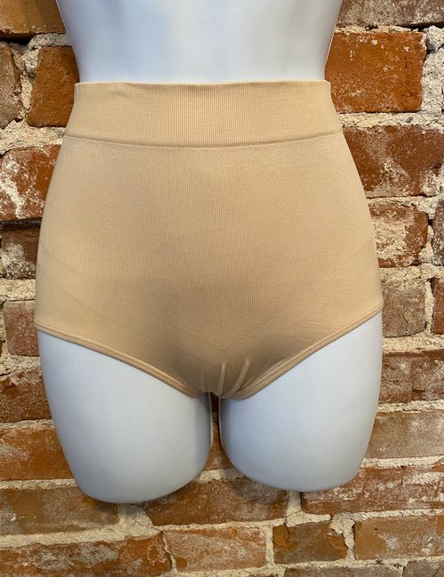 Breezies Sunbeige Nude Seamless Shaping Brief Panty New
