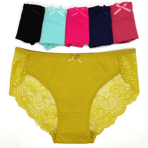 6 x Womens Sheer Nylon / Cotton Briefs – Assorted Colours Underwear Undies 89457