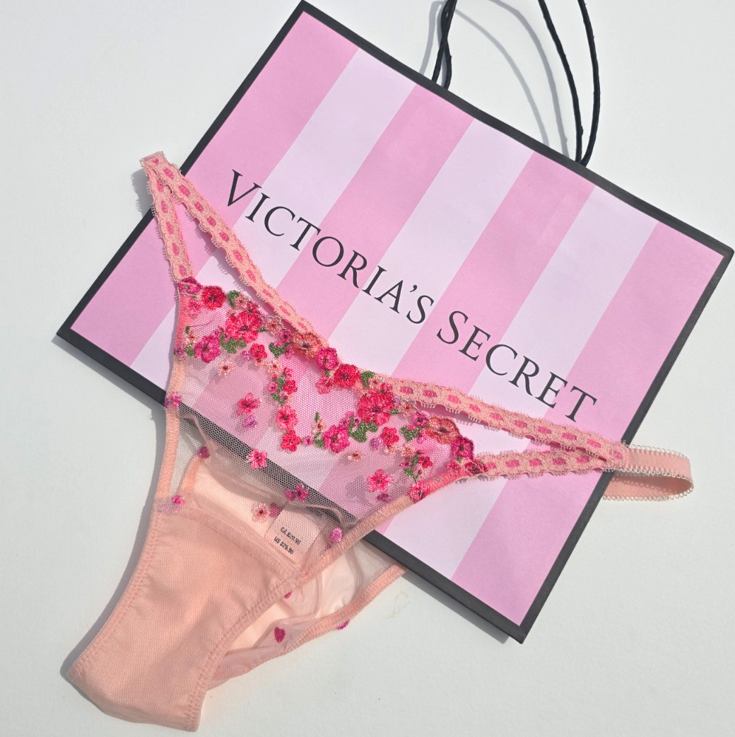 Victoria’s Secret Dream Angels Hearts & Roses Embroidery Brazilian Panty MEDIUM