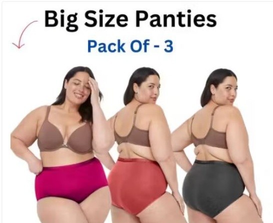 Pack of 3 Plus Size Women’s Sexy Panties Hipster Bikinis Briefs Underwear