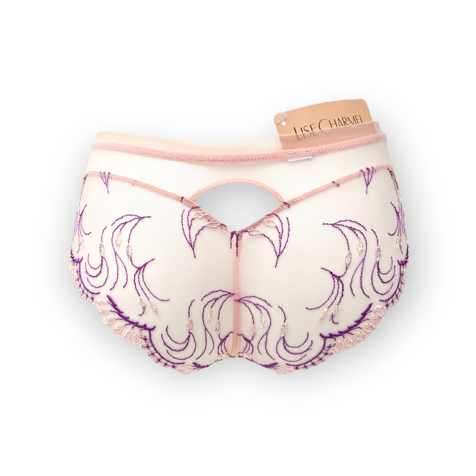 Lise Charmel Hipster Brief Ecrin Desir 36 40 42 XS M L NEW With Tags