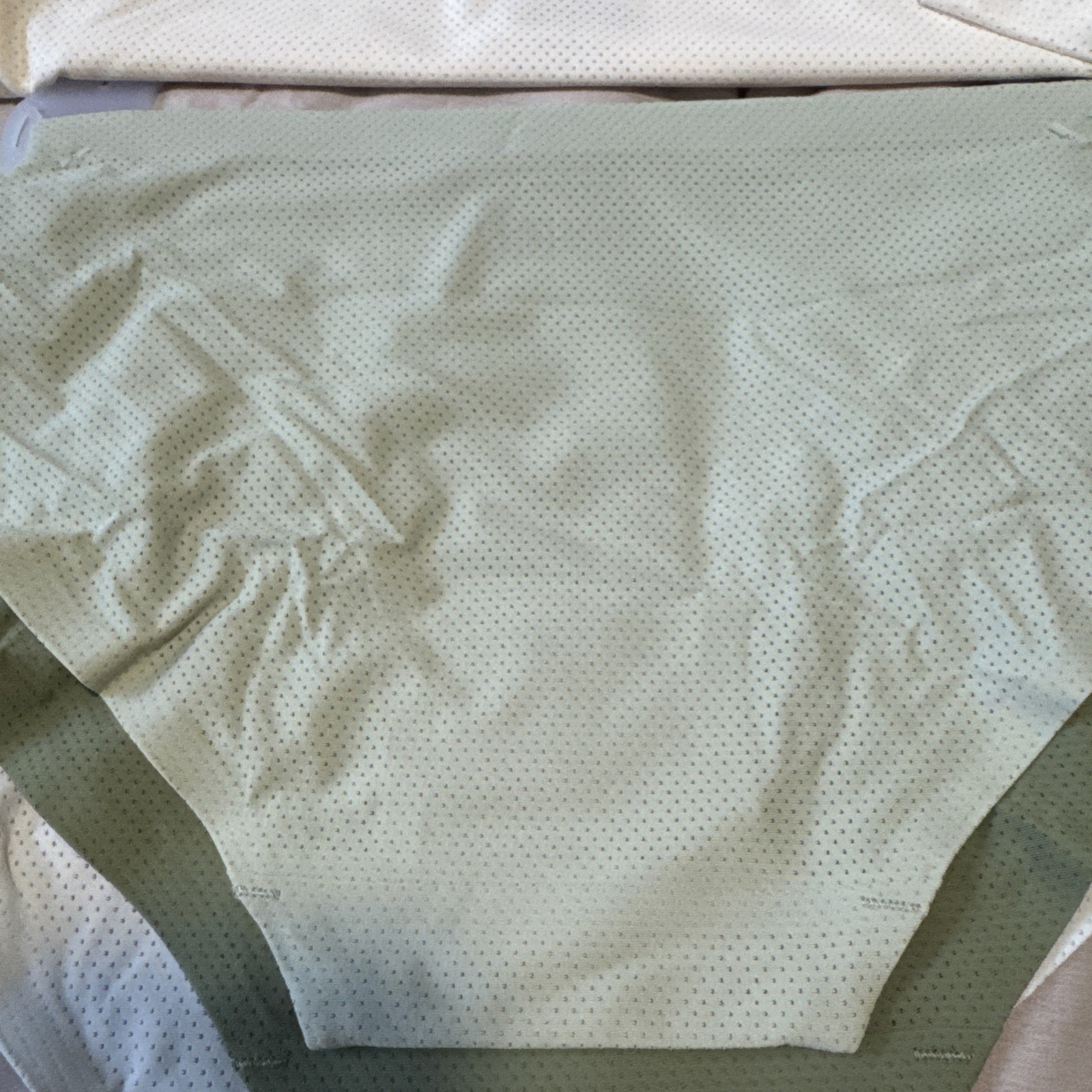 Danskin 7-Pack Womens Brief Panties Underwear Small Nylon Spandex