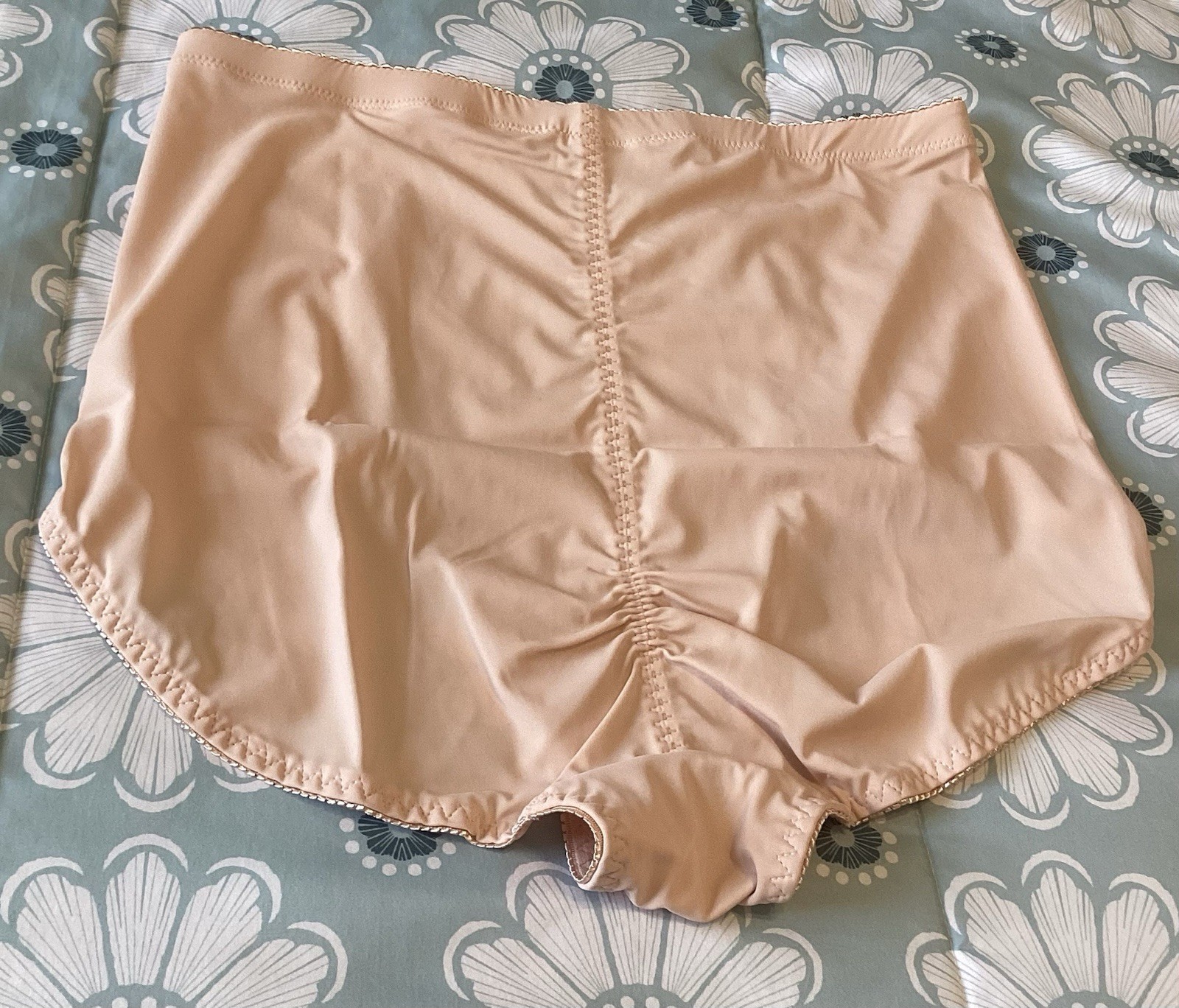 Rhonda Shear Pin-Up Lace Front Brief Panties 2Pack 1X Style3999 Pink&Purple NWT