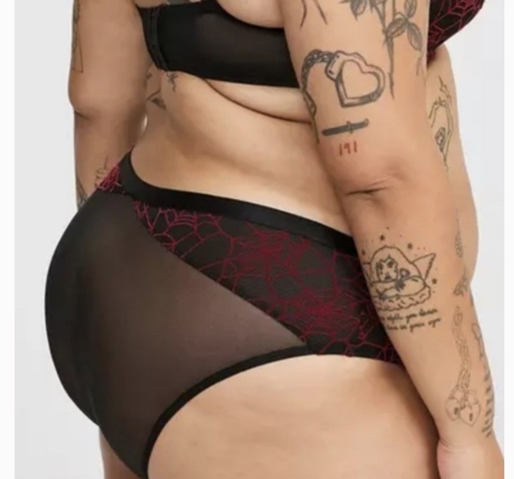 Torrid Black Flocked Mesh Red Spiderweb Hipster Panty Plus Size 3, 3X, 22-24