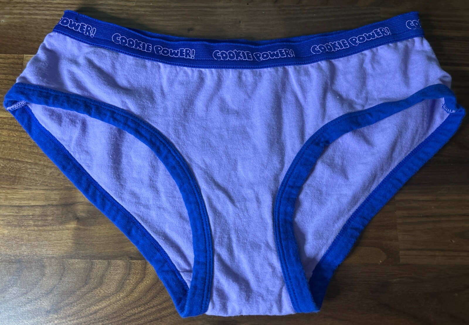 Vtg Sesame Street Cookie Monster Hipster Panties Cookie Power Sz 6 Kidcore Thick
