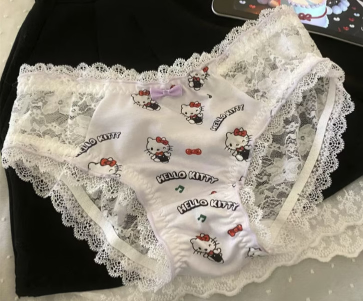 Sanrio Women’s Hello Kitty Cute KT Cat Design Cartoon Bikini Brief Panty L/ XL