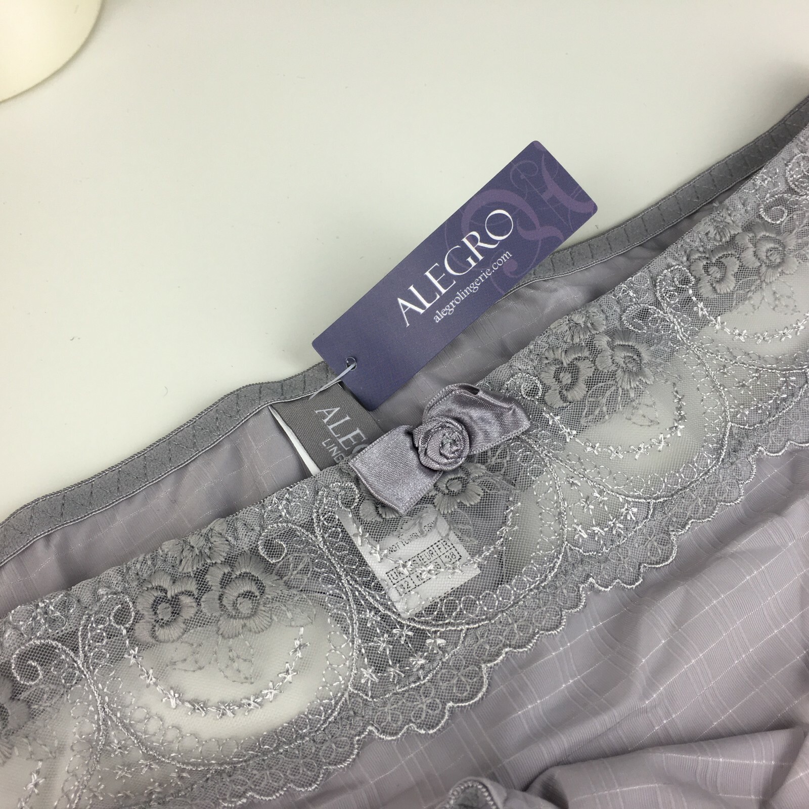 ALEGRO Soft Grey Embroidered Sheer Thong Panty Lingerie with Lace Trim – 9017D