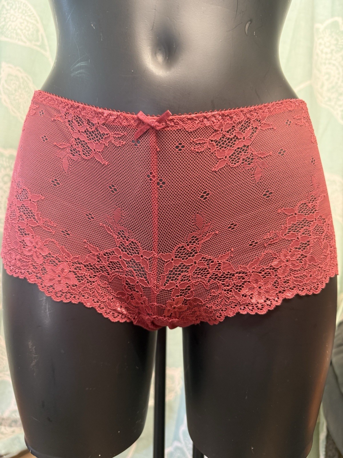 LingaDore Daily 1400sh Ltd Edition Barn Red Medium Hipsters RRP £30