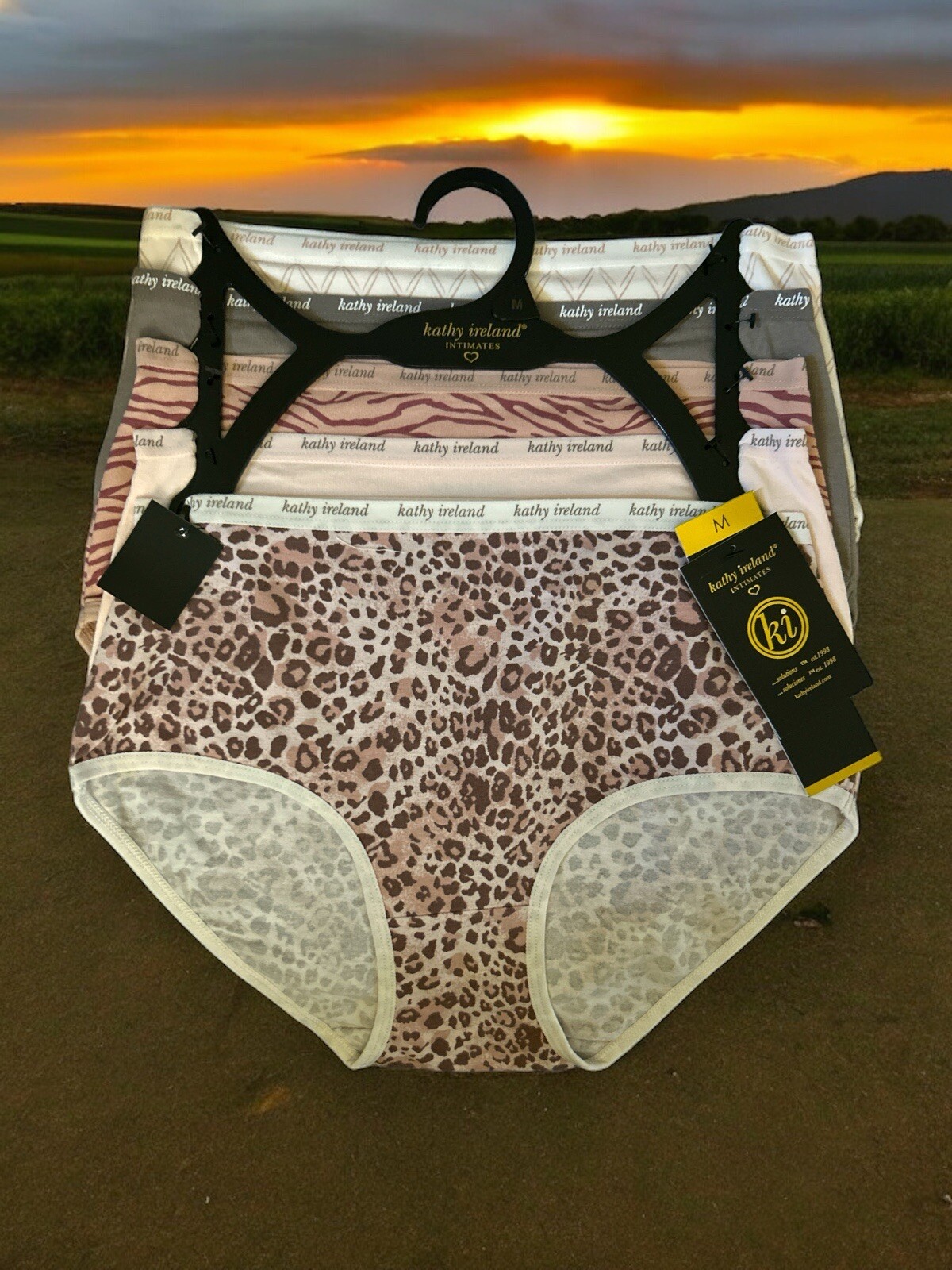 Kathy Ireland 5 Pack Multicolor Cotton/Spandex Briefs Size Small~BF1197~ GREAT!