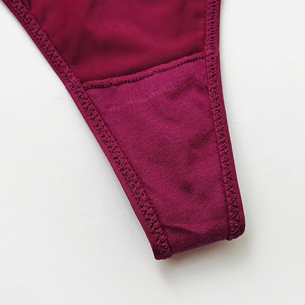 Sexy Womens Panties Thong G string Underwear Ice Silky High Cut Briefs Lingerie