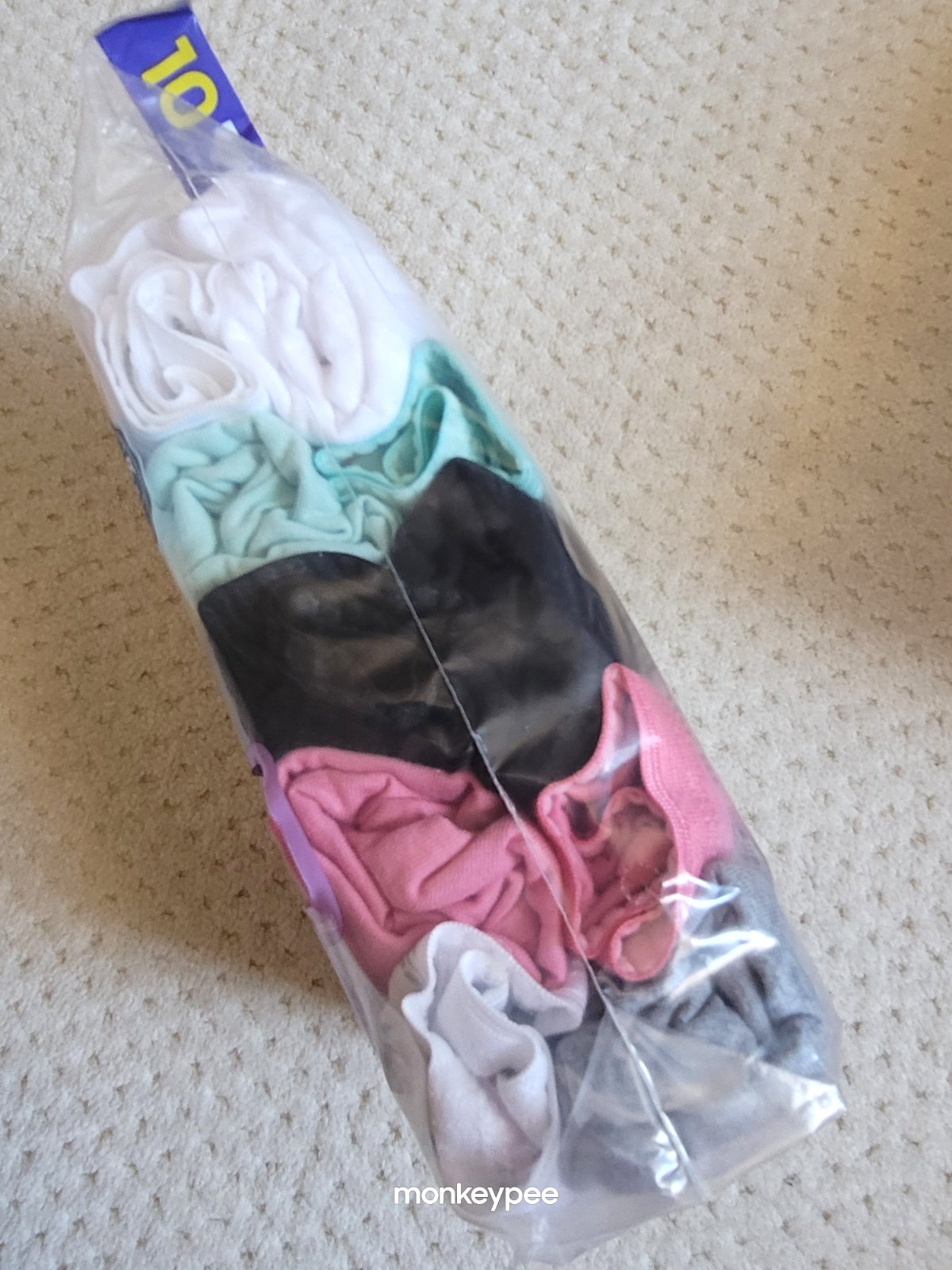 Hanes Womens 10 PACK Tagless Breathable Cotton Full Coverage Wicking Briefs, 7/L