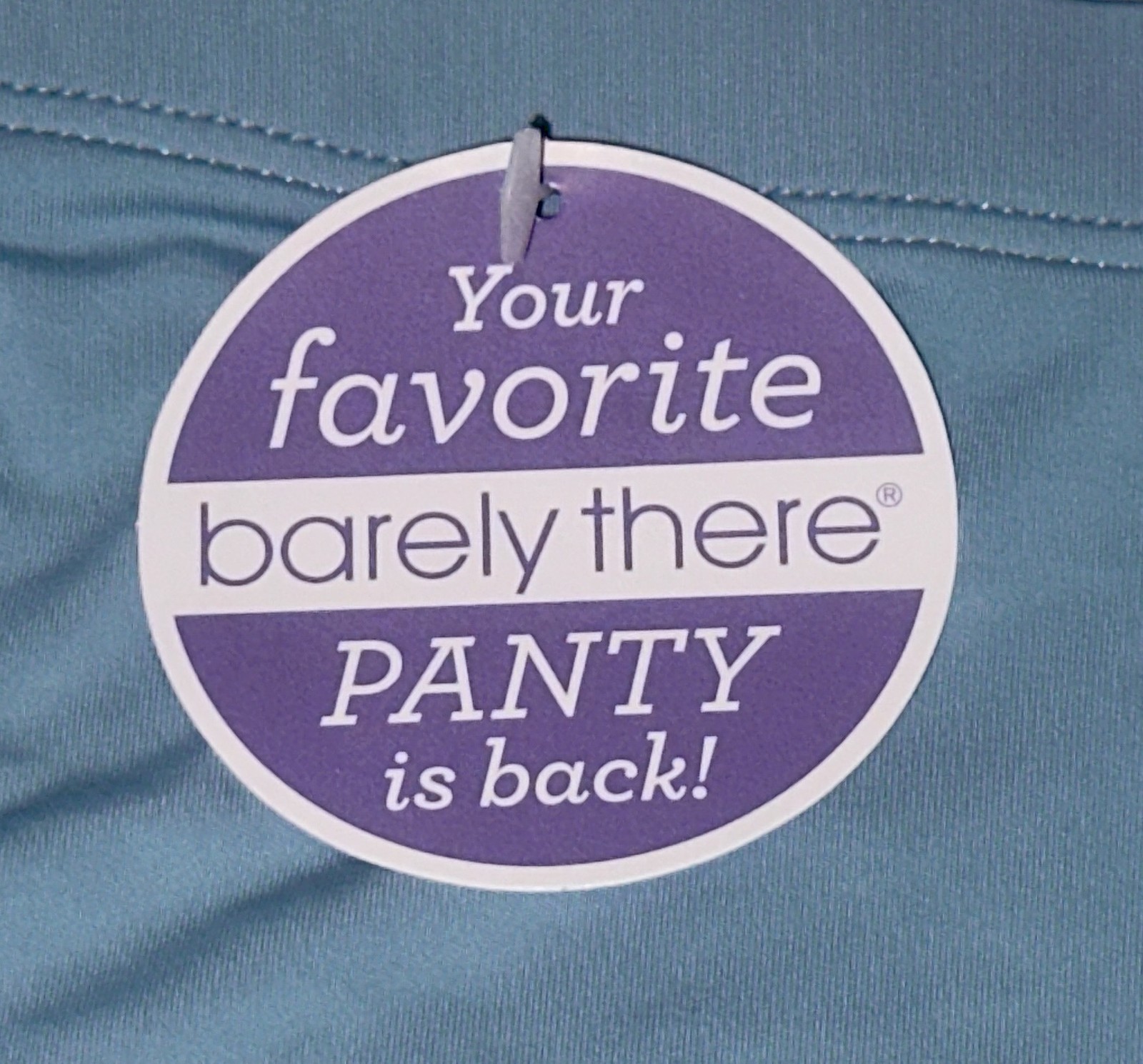 MAIDENFORM Barely There Invisible Sunday Morn Blue Boyshort Panty Womens M L XL