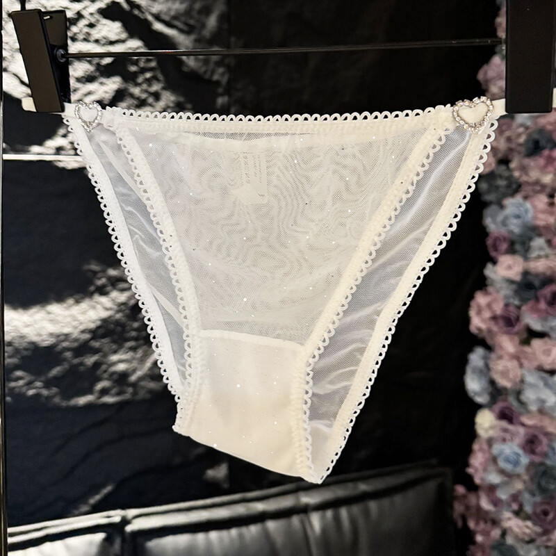 4Pack Lot Womens See Through French Panties Sheer Underwear Sexy Lingeries Brief