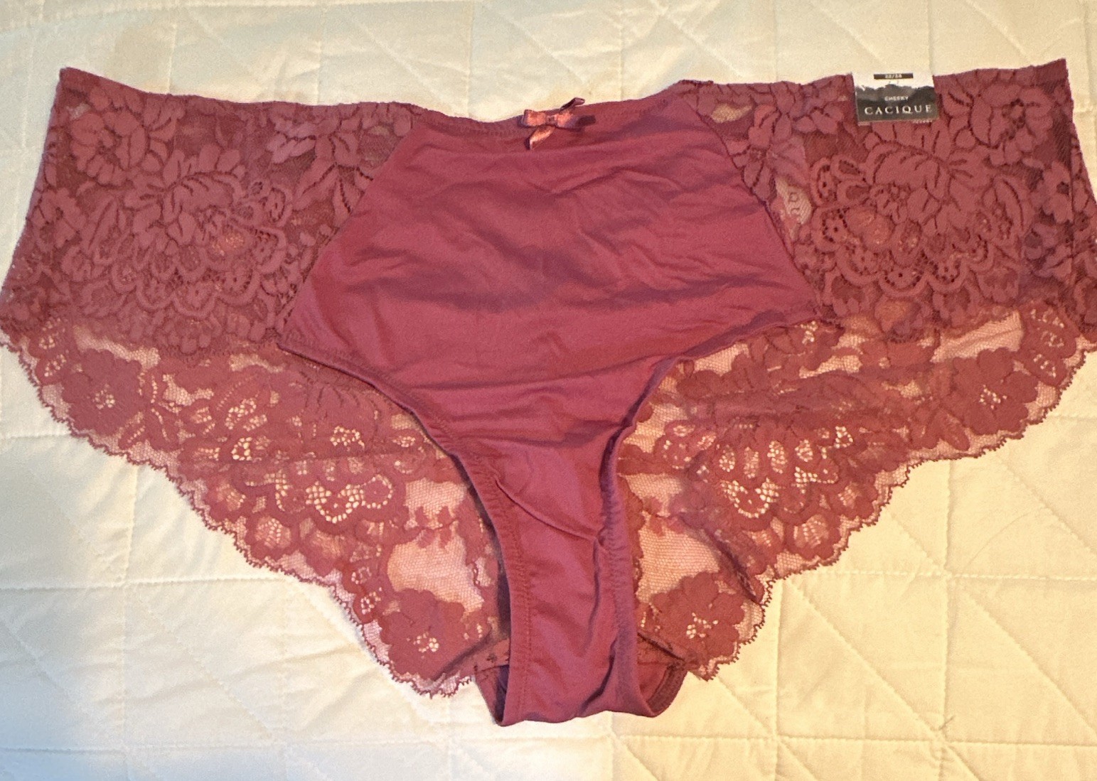Cacique Women’s Plus 22/24 Boyshort Panties Lace Floral Purple Sheer