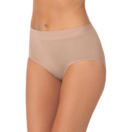 Women’s Underwear Silky Soft Seamless Full Coverage Modern Brief Panties 5 Pa…