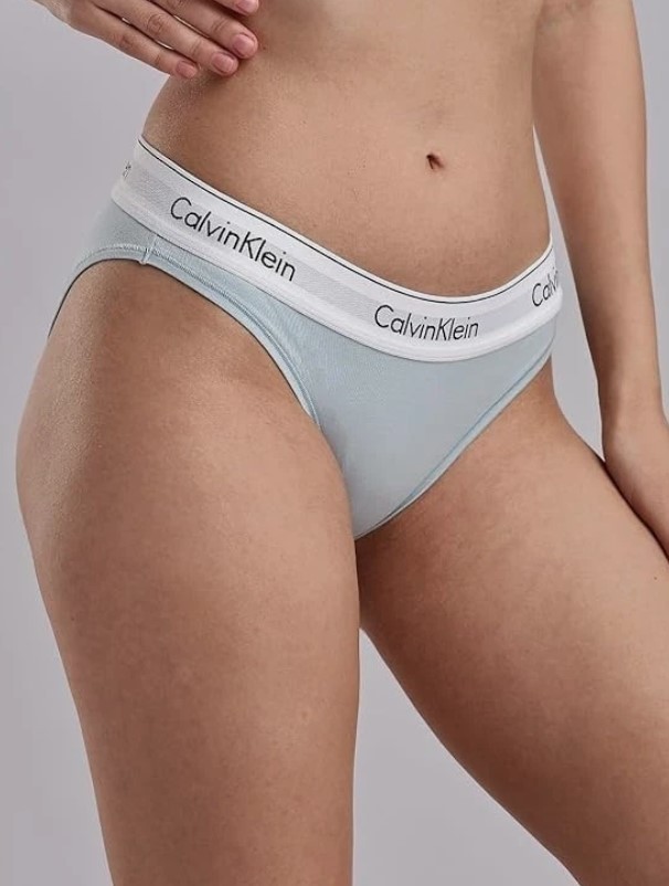 Calvin Klein Women’s Modern Cotton Bikini Underwear F3787 Blue Size L
