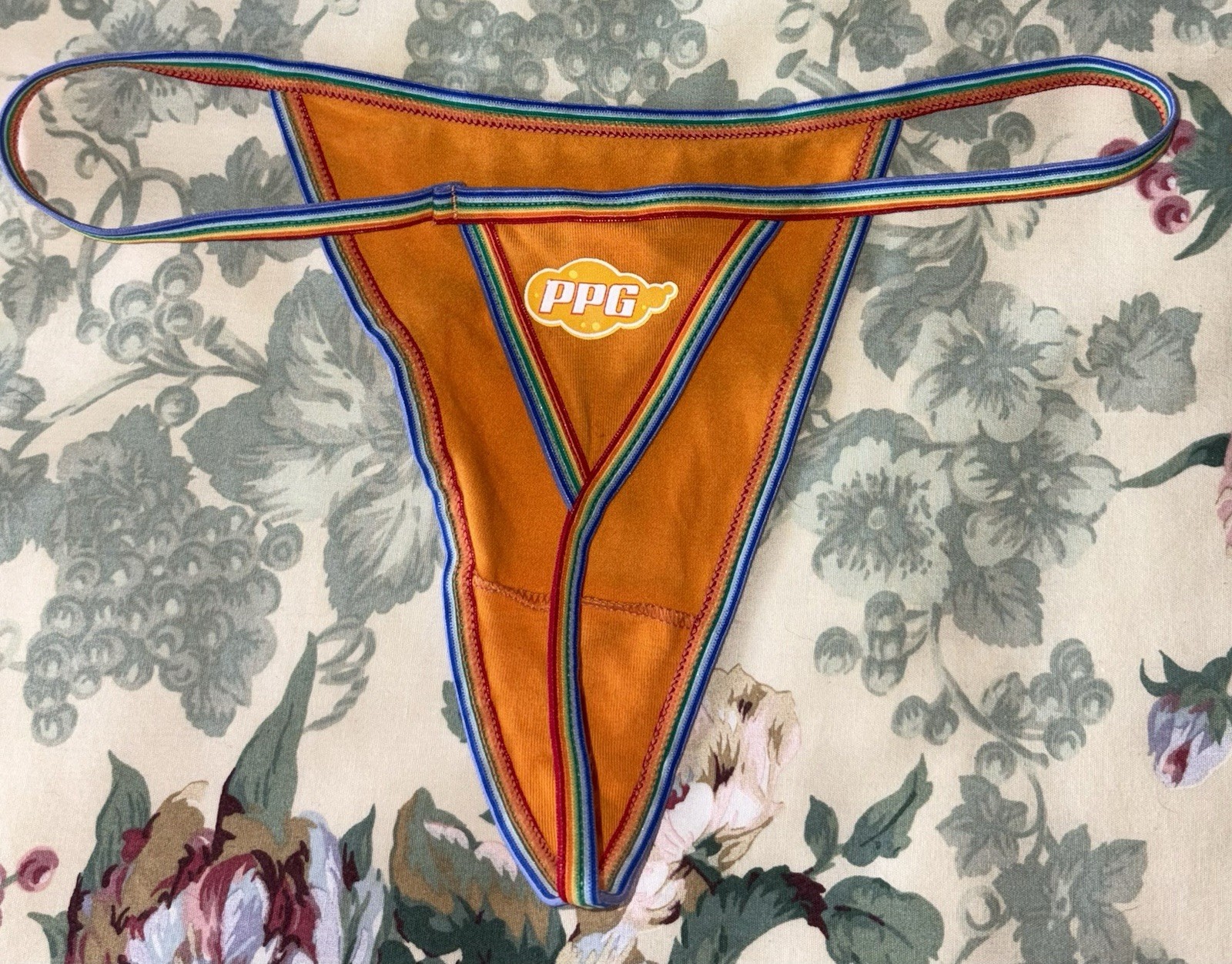 Powerpuff Girls Rainbow Waistband Cartoon M String Thong Panty Underwear Princes