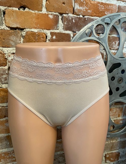 Breezies Sunbeige Nude Seamless Comfort Hi-Cut Brief with Lace New Panty