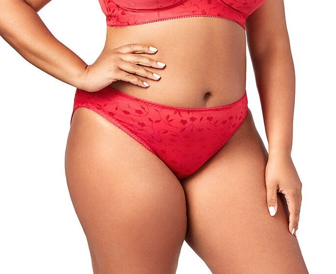 Elila Red Jacquard Plus Size Panty 3405 Medium Coverage to Size 10XL