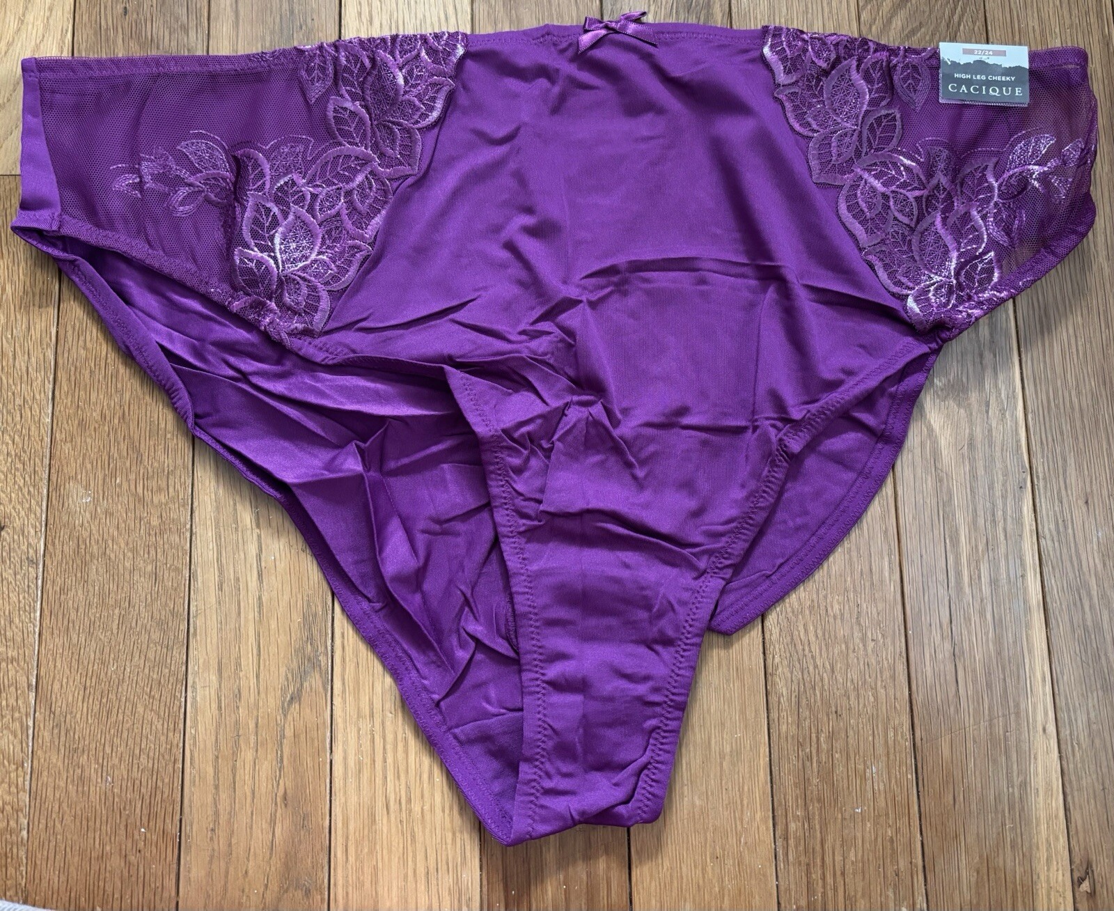 Plus Sz 22/24 Lane Bryant Cacique High Leg Cheeky Panty Lace Embroidered Grape