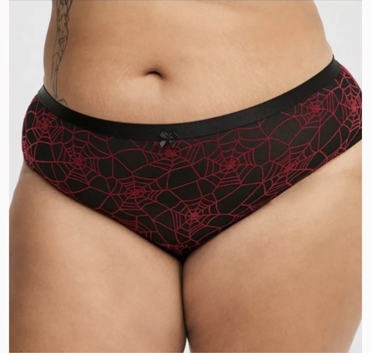 Torrid Black Flocked Mesh Red Spiderweb Hipster Panty Plus Size 3, 3X, 22-24
