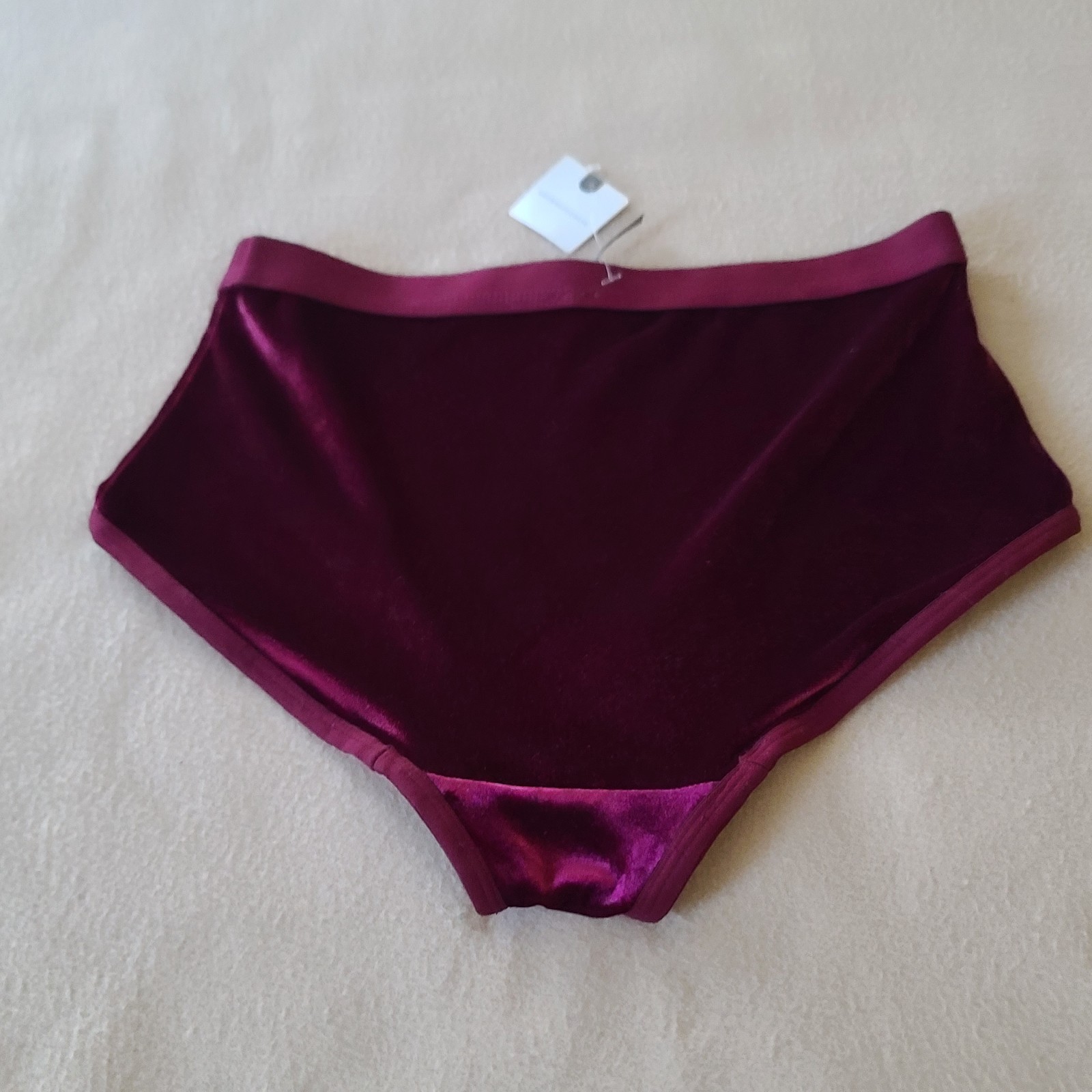 By Anthropologie Velvet Panty Briefs Underwear Sz XL Plum Retro Coquette NWT