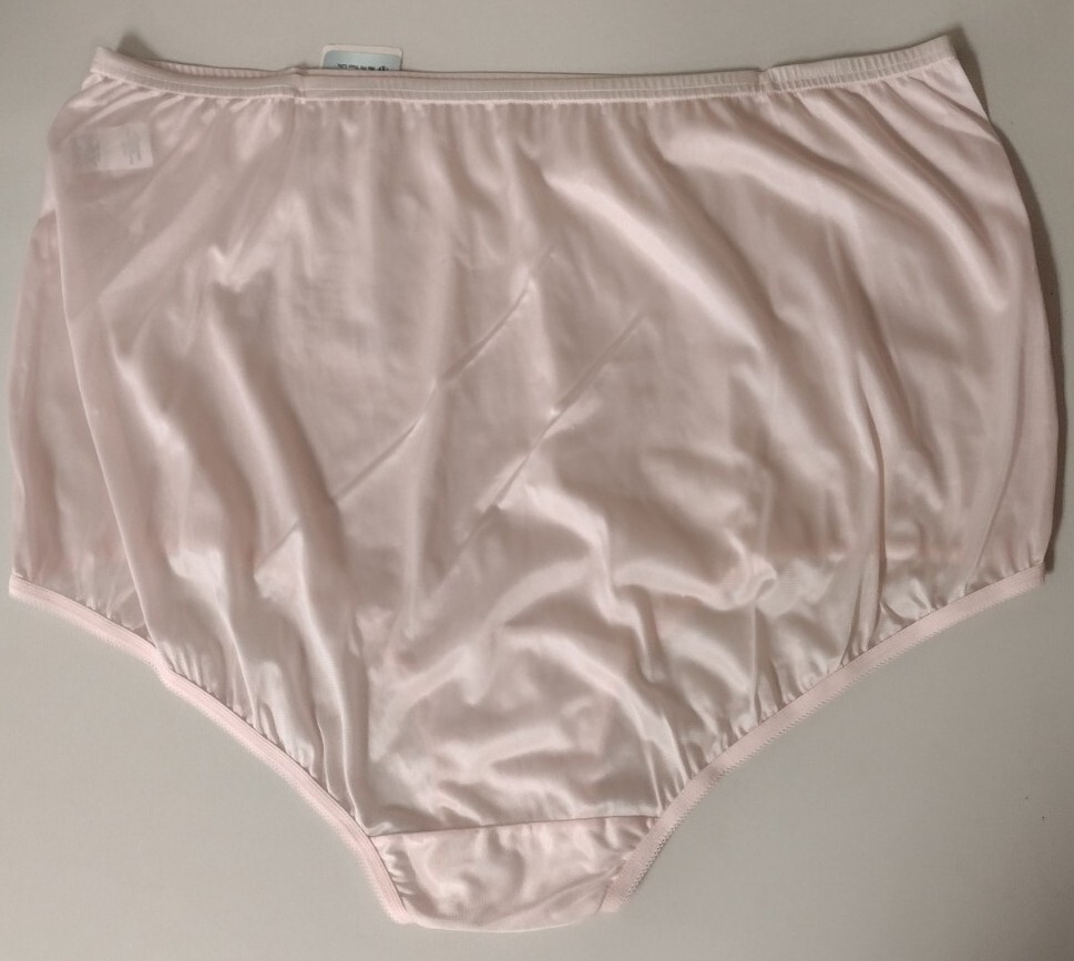 NWT HTF VANITY FAIR WOMAN BLUSHING PINK BRIEF PANTY SIZE 10 #15812