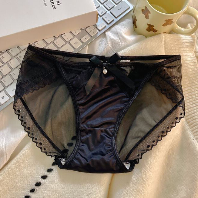 5Pack Lot Womens Satin Panties Bikini Brief Sheer See Through Underwear Lingerie