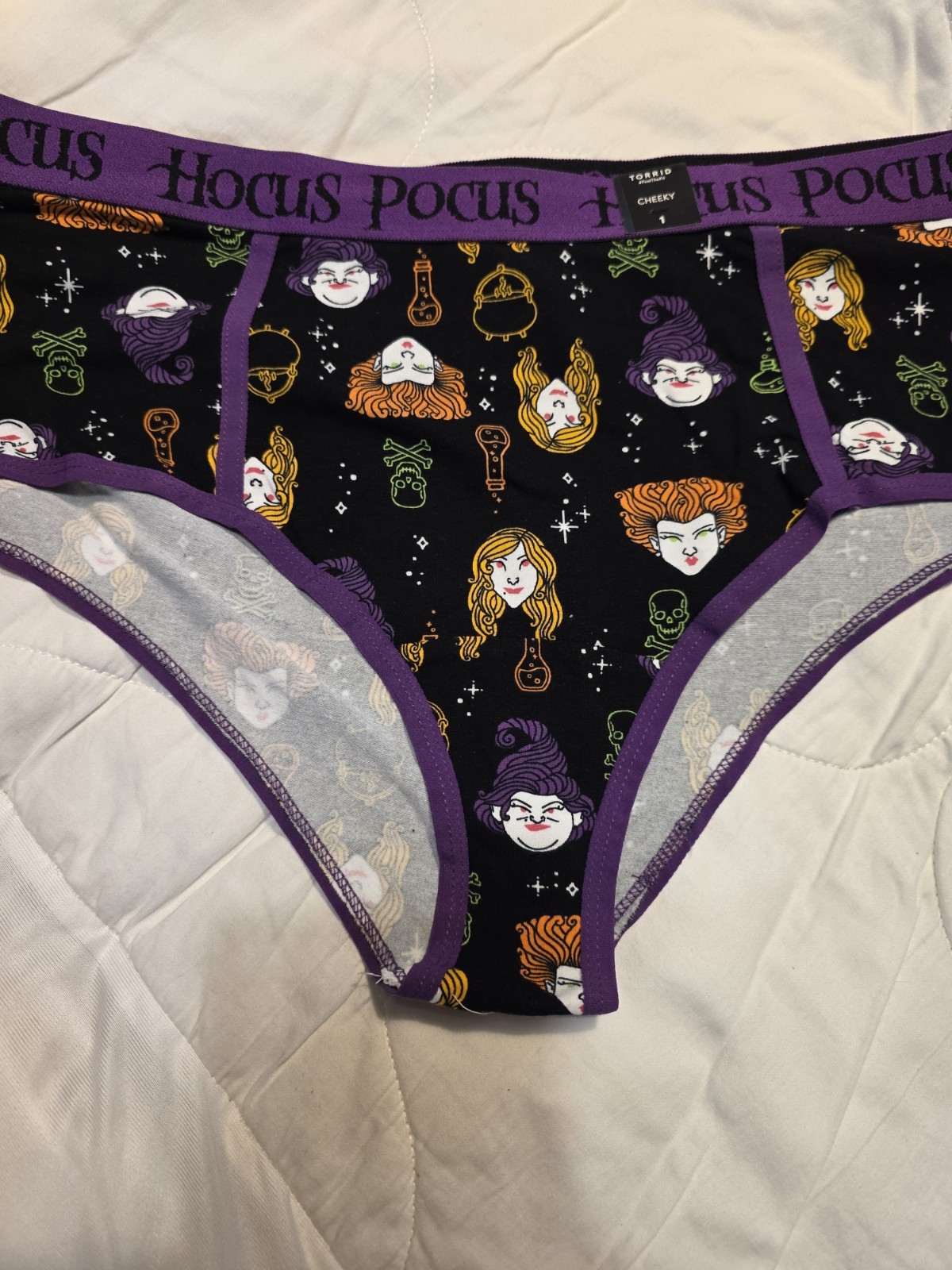 Torrid Cheeky Panties Size 1 Multicolor Disney Graphic Print